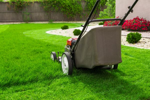 Grass Mowing Service