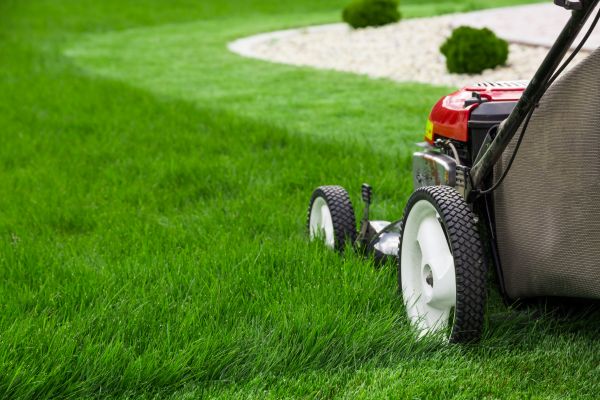 Cost of Mowing Service in Pottstown