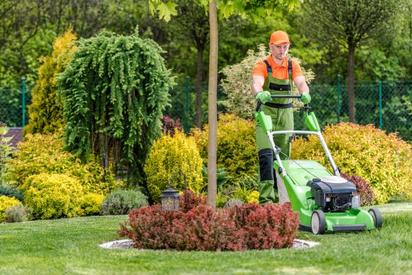 Weekly Lawn Maintenance