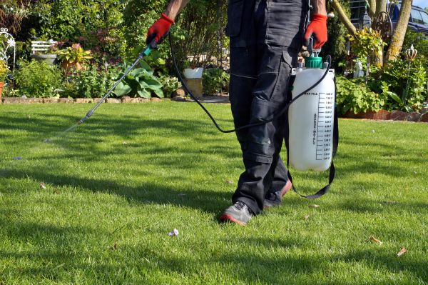 Lawn Treatment Service
