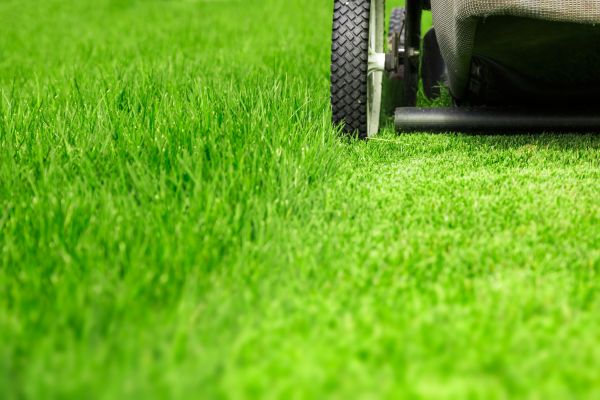 Weekly Lawn Care Service