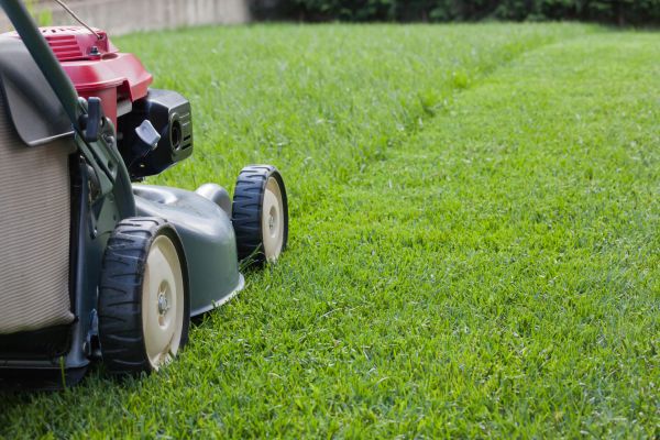 Cost of Spring Lawn Maintenance in Pottstown