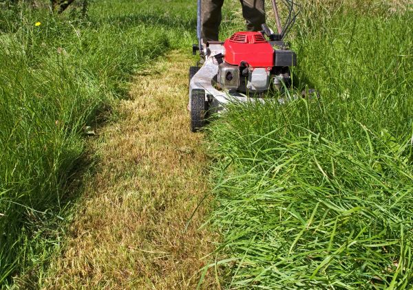 Leaf Mowing