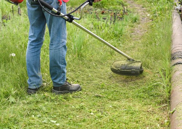 Tall Grass Trimming Service