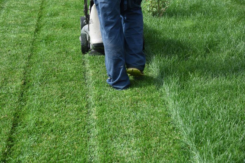 Local Lawn Care Experts