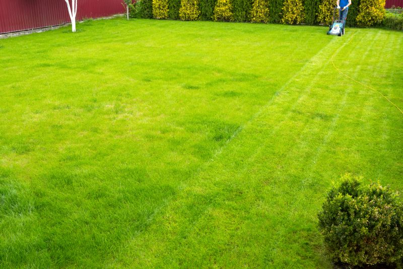 Commercial Lawn Maintenance Providers